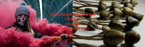 PSILOCYBIN Абдулино