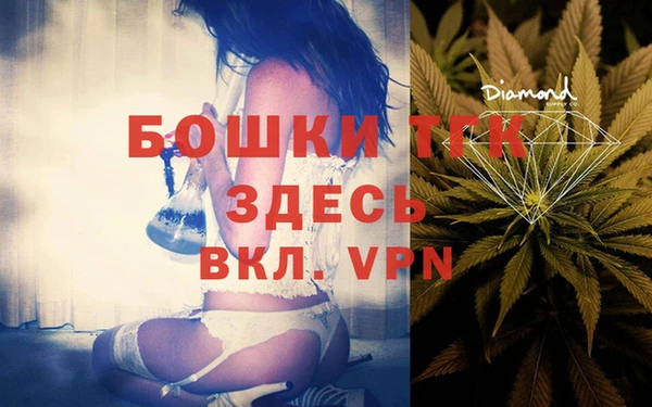 PSILOCYBIN Абдулино