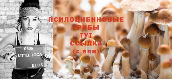 Альфа ПВП Абаза