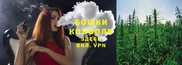PSILOCYBIN Абдулино