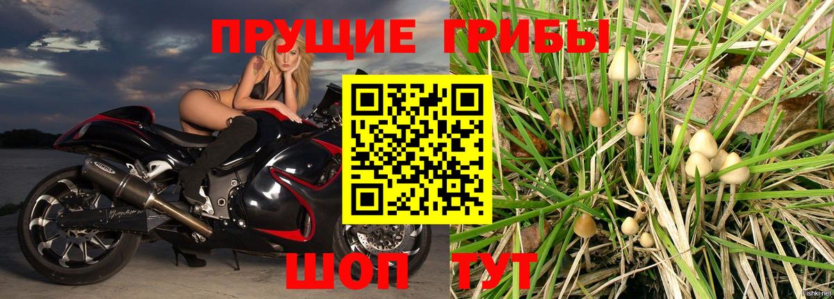 Псилоцибиновые грибы GOLDEN TEACHER  Псилоцибиновые грибы мухоморы  Вход с VPN  Кингисепп 